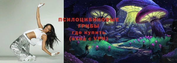 стафф Сосновый Бор