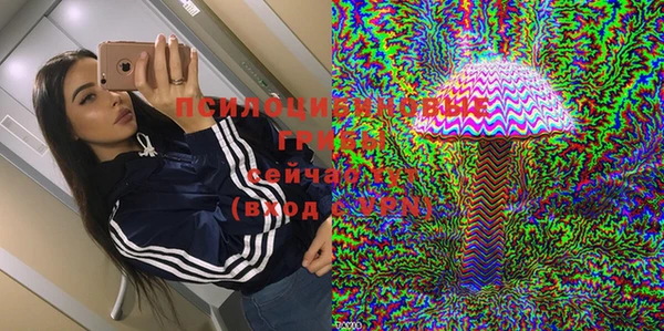 стафф Сосновый Бор