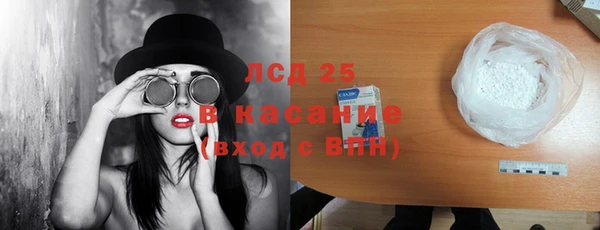 стафф Сосновый Бор