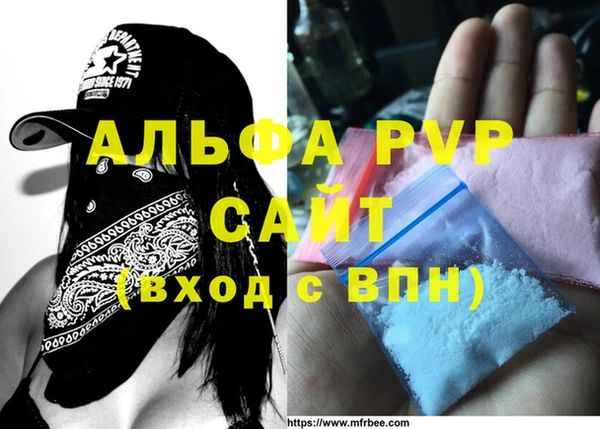 стафф Сосновый Бор