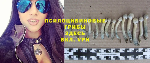 герыч Санкт-Петербург