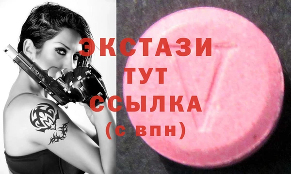 стафф Сосновый Бор