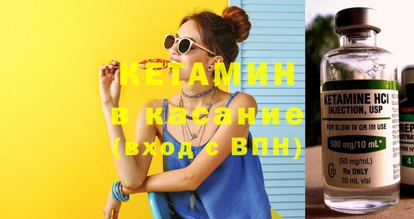 индика Богородицк