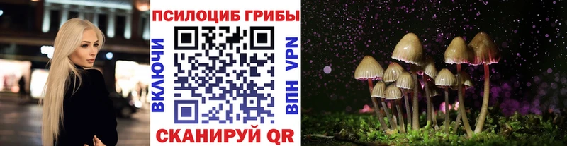 Псилоцибиновые грибы мухоморы Болгар