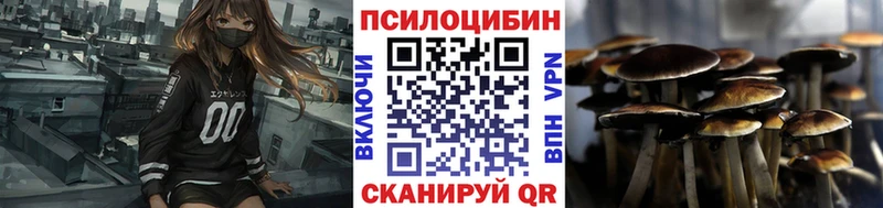 Галлюциногенные грибы мицелий  KRAKEN как войти  Болгар 